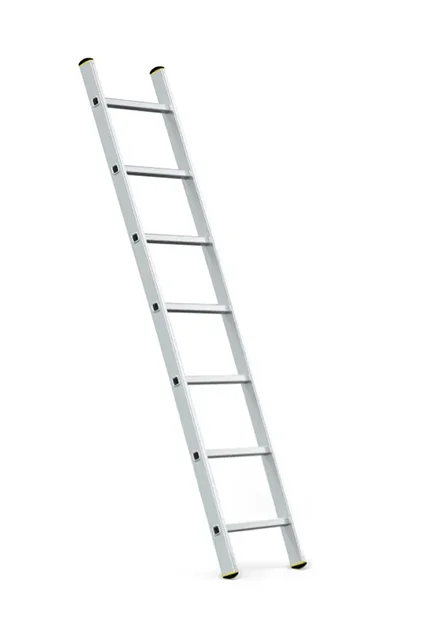 Échelle inclinée pro alu 7 échelons -  Meilleur prix garanti - Livraison express