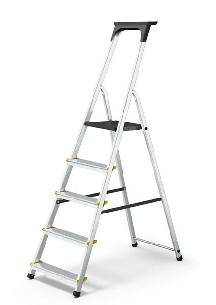 Échelle PRO alu 5 marches - Livraison rapide